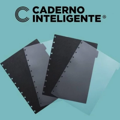 Divisorias Basicas Grande  - 4 Peças CIDG4001 - Caderno Inteligente